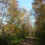 Hamilton-Brantford Rail Trail