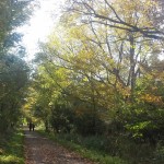 Hamilton-Brantford Rail Trail