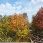 Hamilton-Brantford Rail Trail